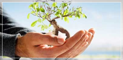 diritto dell'ambiente
